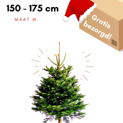 kerstboom kopen