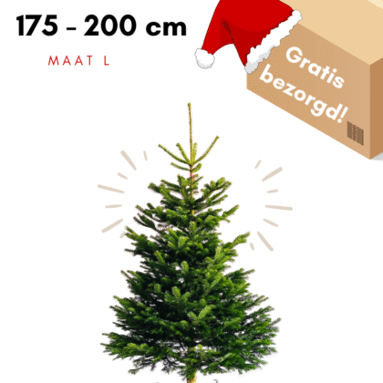 kerstboom