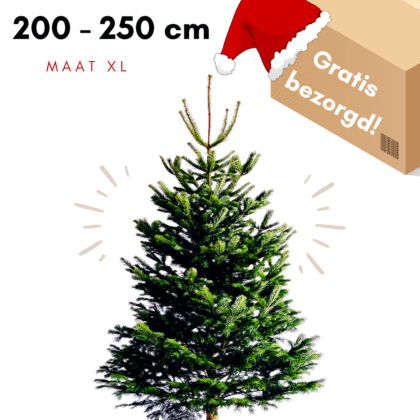 kerstboom kopen Den Haag