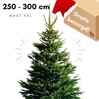 grote kerstboom kopen den haag